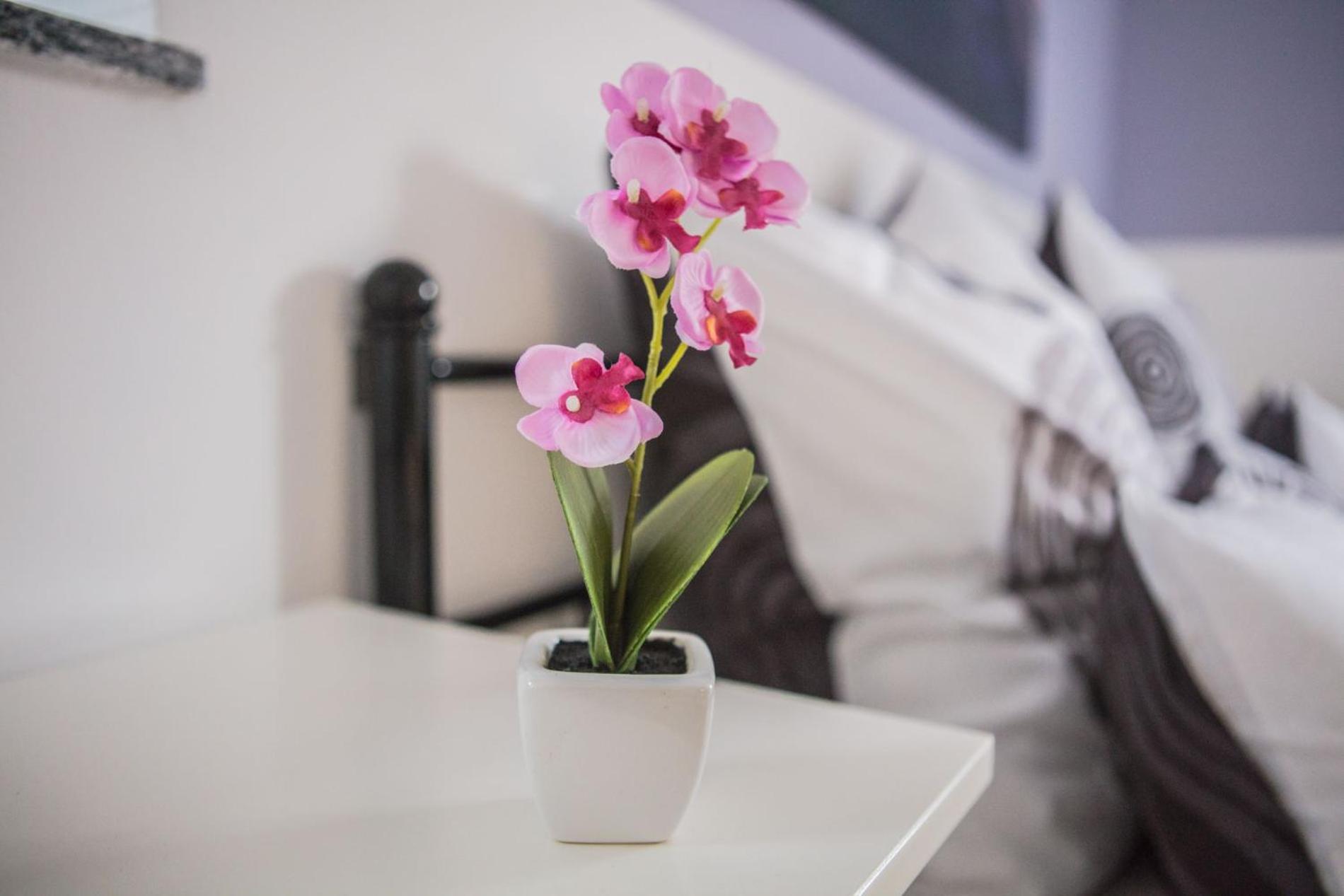 Ferienwohnung Leipzig Sued マルククレーベルク エクステリア 写真